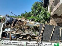 Best Moving and Downsizing Cleanouts  in Lochmoor Waterway Estates, FL